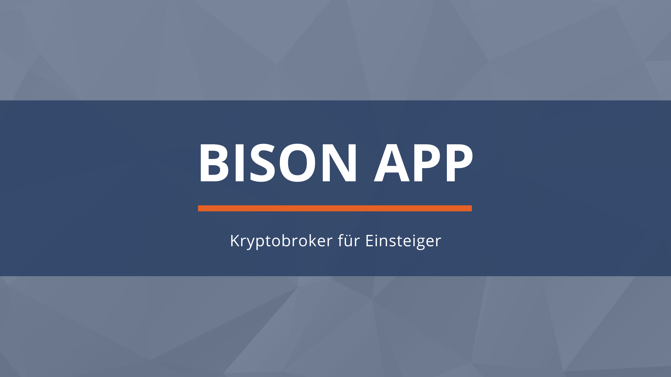 BISON App - Erfahrung