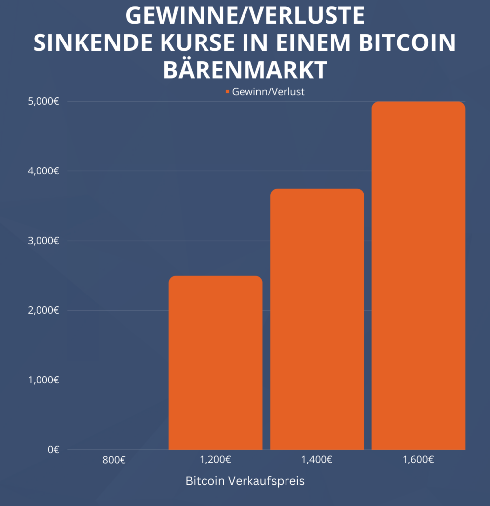 Gewinne/Verluste Bitcoin Sparplan im Bärenmarkt